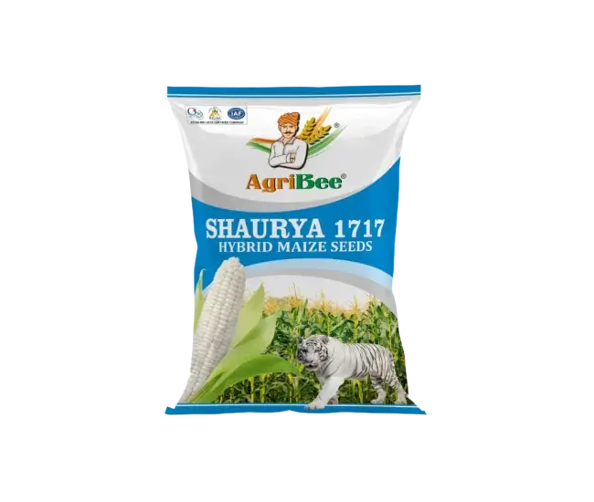 White Maize Shaurya 1717 3 White Maize Shaurya 1717