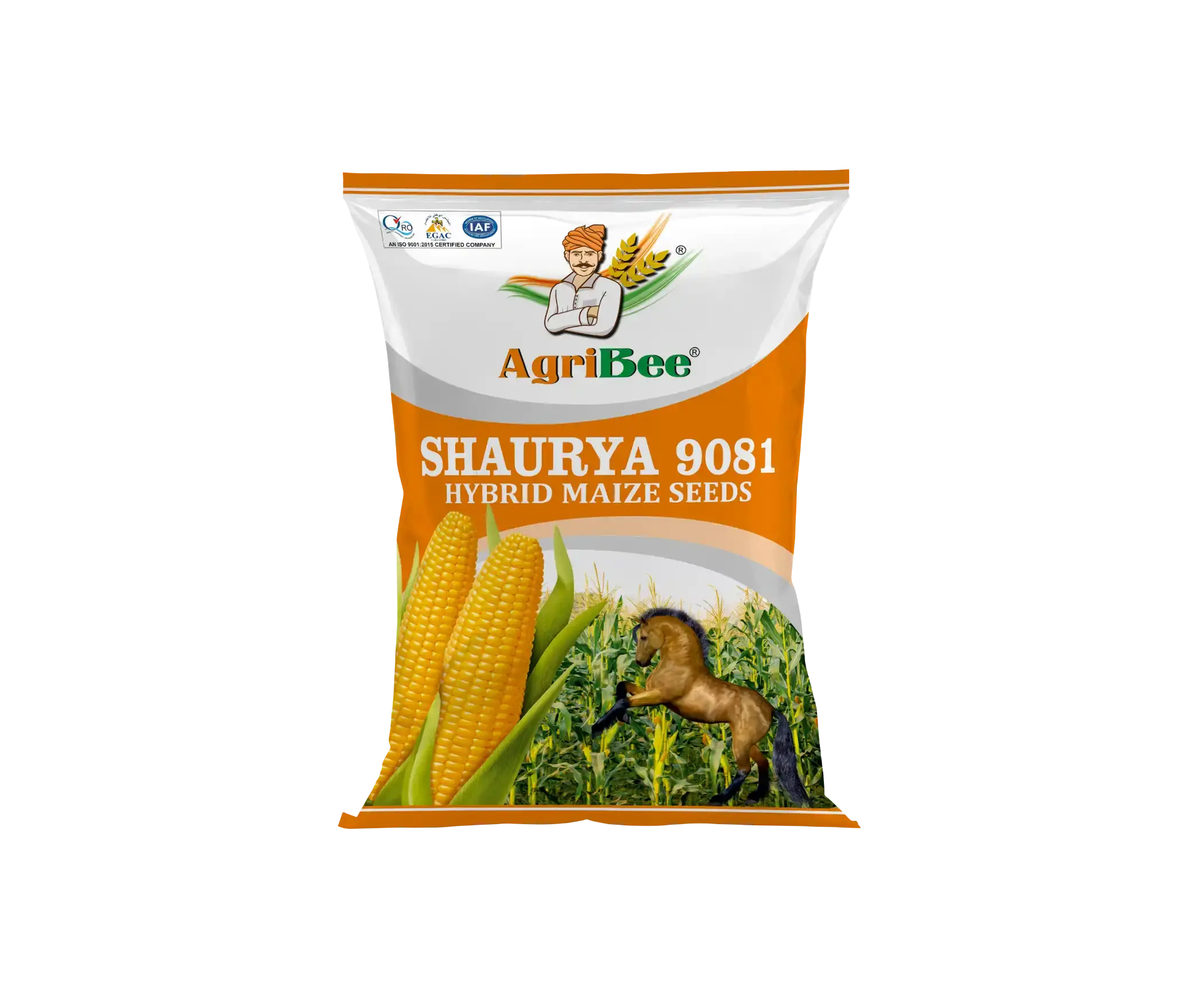 Yellow Maize Shaurya 9081 seller in gujarat