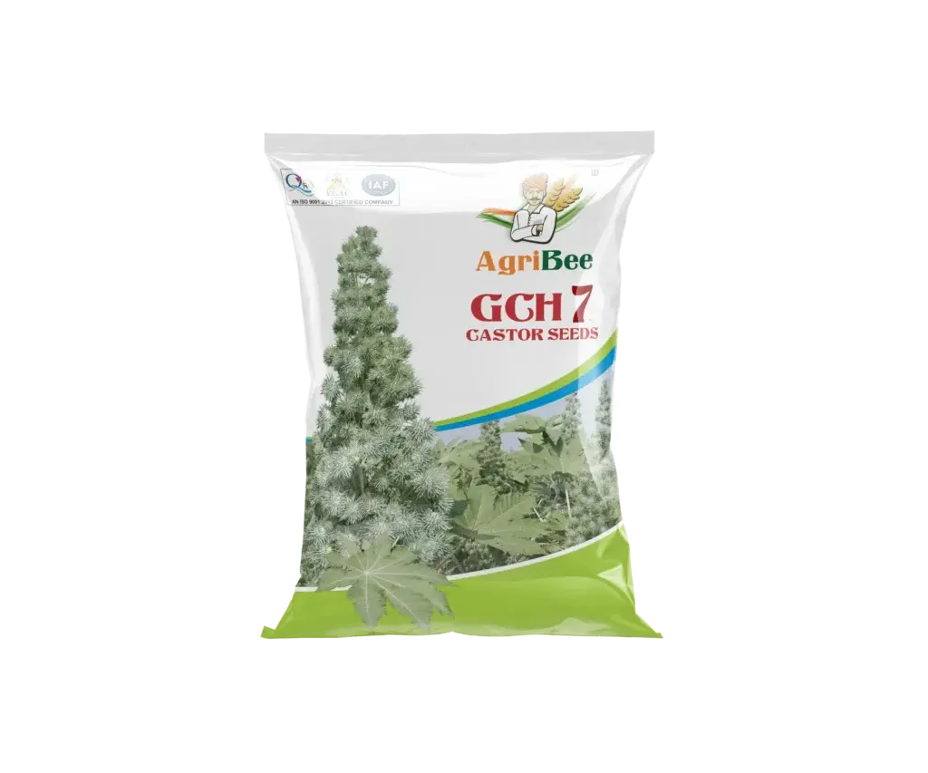 Castor Seeds GCH-7