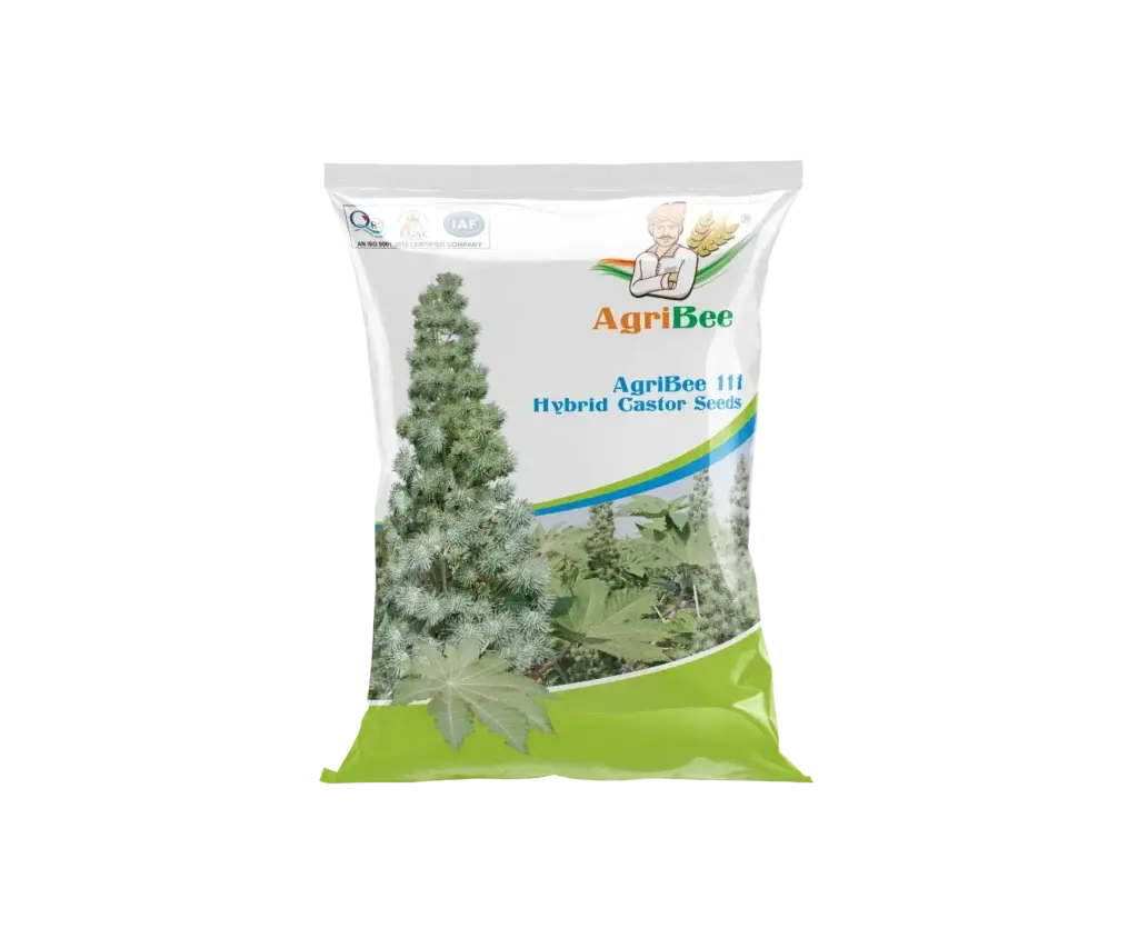 Hy Castor Seeds AgriBee 111
