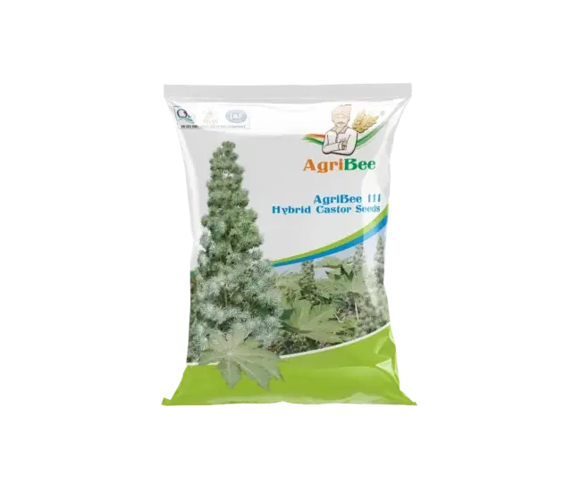 Hy Castor Seeds AgriBee 111