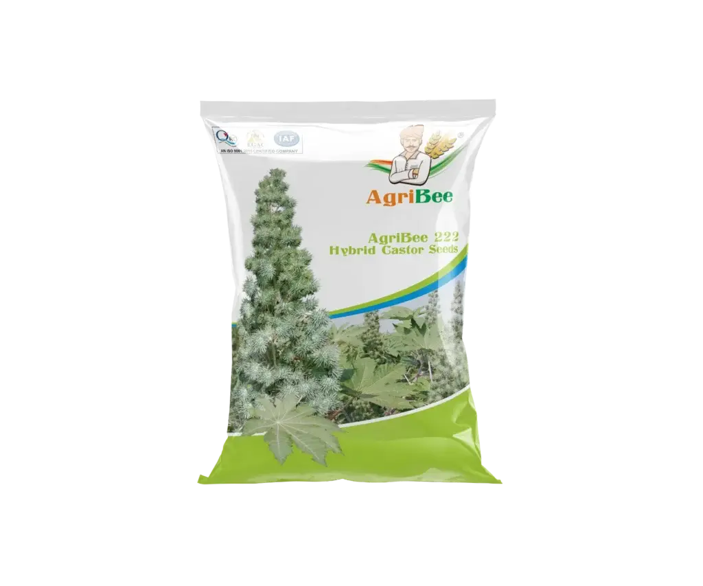Hy Castor Seeds AgriBee 222