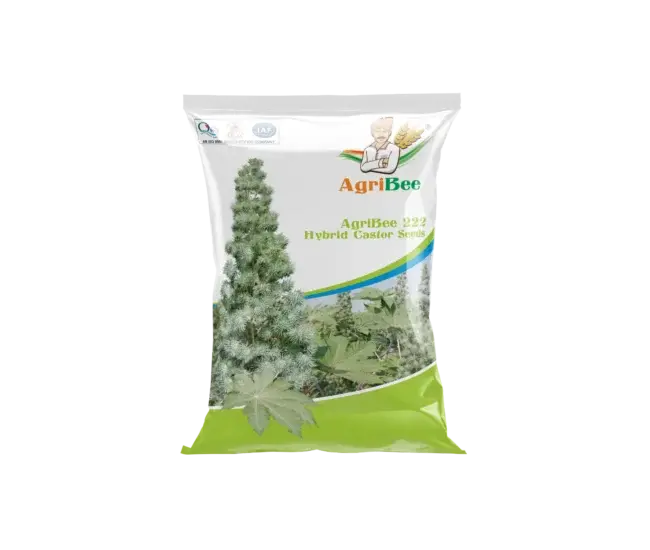 Hy Castor Seeds AgriBee 222