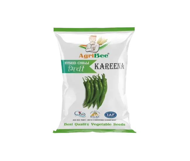 Chilli Seeds AgriBee Kareena F1 HY
