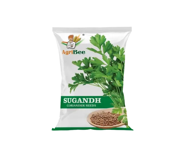 Coriander Seeds Sugandh