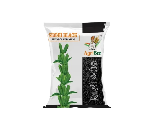 Sesame Siddhi Black