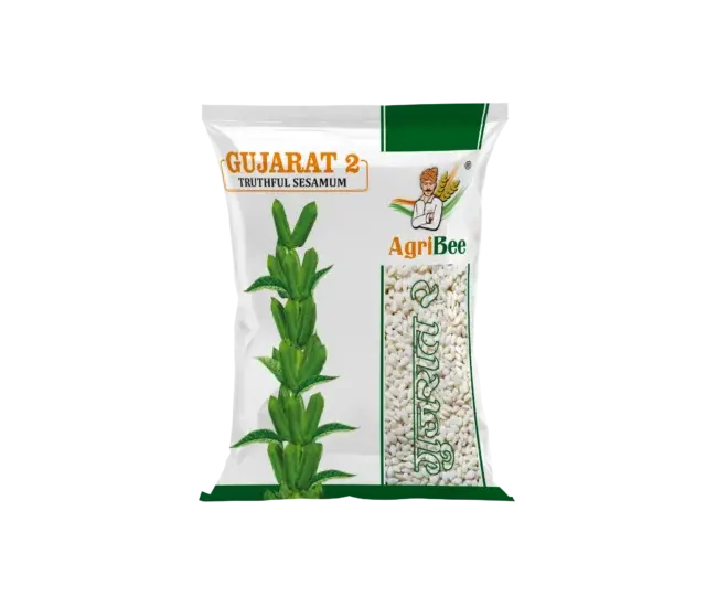 Sesame Guj 2