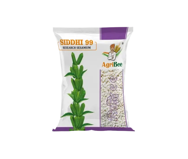 Sesame Siddhi 99