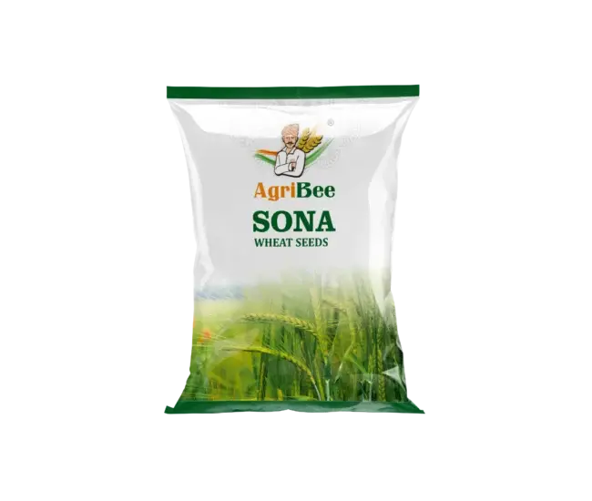 Wheat Seeds Sona