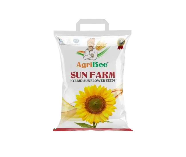Sunflower Sunfarm 1 Sunflower Sunfarm