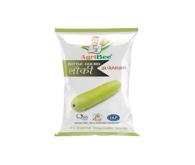 BottleGourd Seeds - Suraksha 10 BottleGourd Seeds - Suraksha