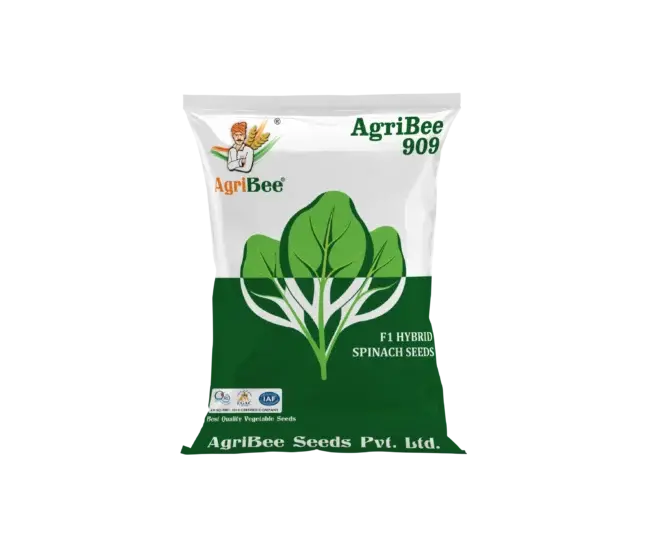 Hybrid Spinach Seeds