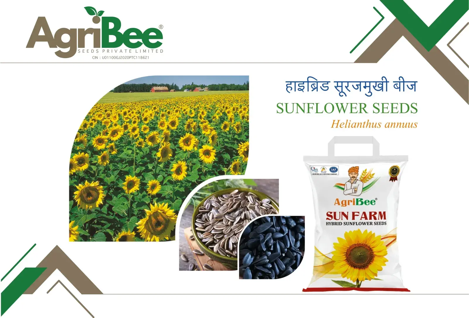 AGRIBEE BROCHURE New Page 0007 - AgriBee Seeds