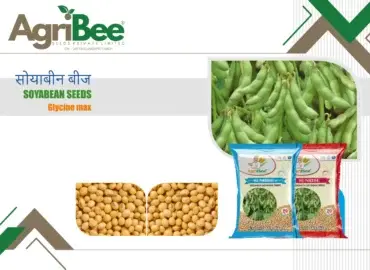Okra / Bhindi Seeds Portfolio
