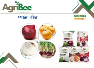 Brinjal / Eggplant Varieties
