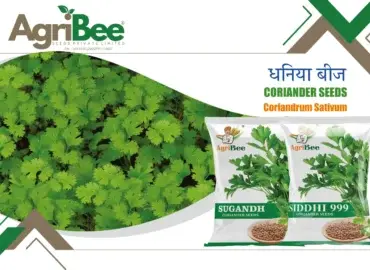 Cucumber & Ridge Gourd Varieties