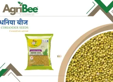 Radish & Carrot Hybrid Seeds