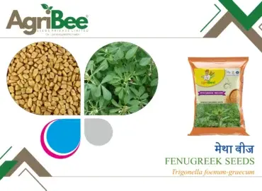 Mustard (Sarson) Seeds Portfolio