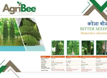 Blackgram (Urad) Seeds - Rudra