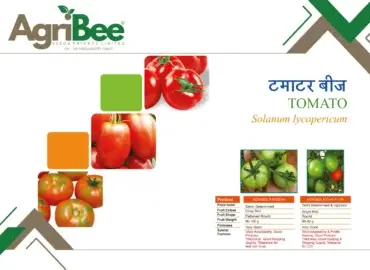 Agronomic Recommendations & Sowing Guide