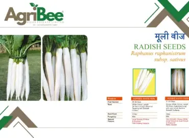 Dealer Network & Farmer Training Programs