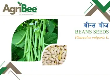 AgriBee Brand Trademark & Intellectual Property