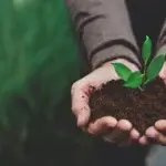 AgriBee Seeds Private Limited