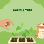 AgriBee Seeds Private Limited