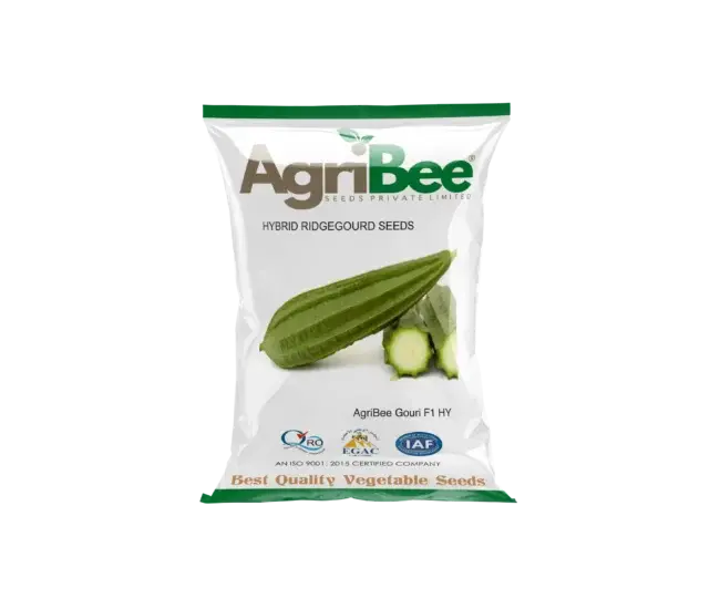 AgriBee Gauri F1 HY