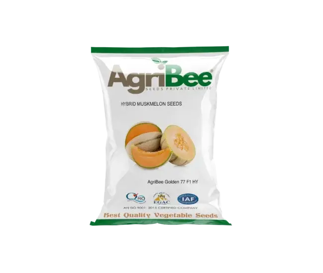 Muskmelon Seeds AgriBee 07 F1 HY 4 AgriBee 07 F1 HY