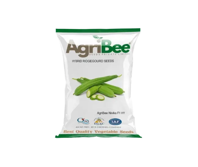 AgriBee Nivika F1 HY