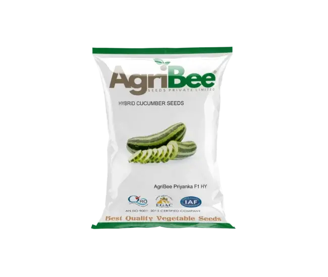 Cucumber Seeds AgriBee Priyanka F1 HY - AgriBee Seeds