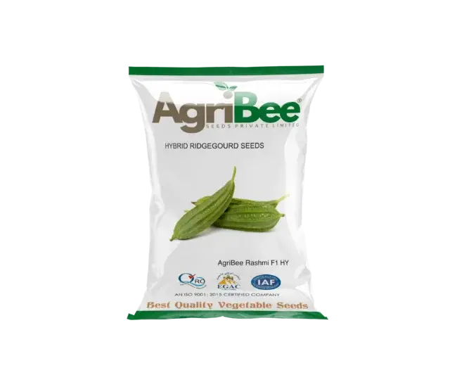 AgriBee Rashmi F1 HY