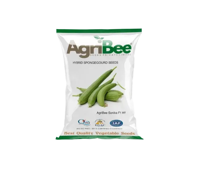 Sponge Gourd Seeds AgriBee Sonika F1 HY 10 AgriBee Sonika F1 HY