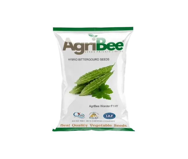 Bitter Gourd Seeds AgriBee Wonder F1 HY