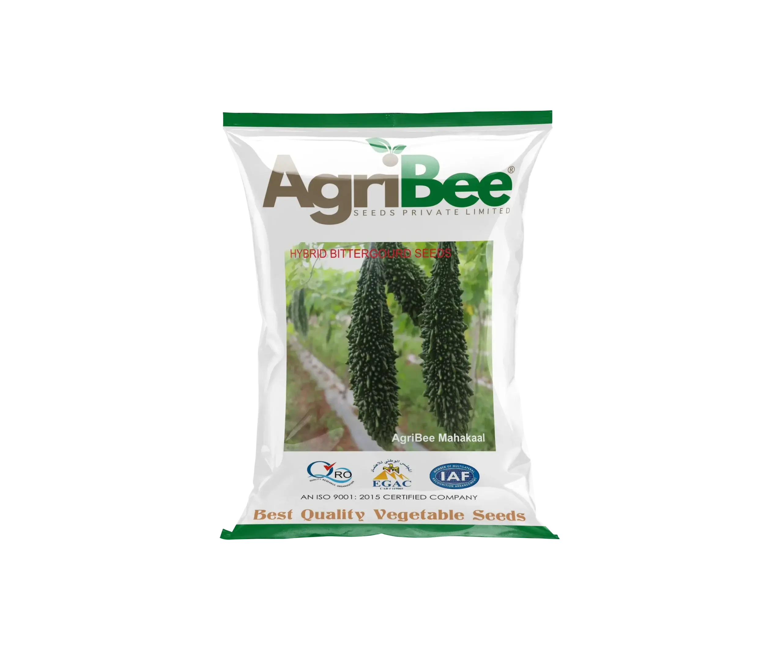 Bitter Gourd Seeds AgriBee Mahakaal