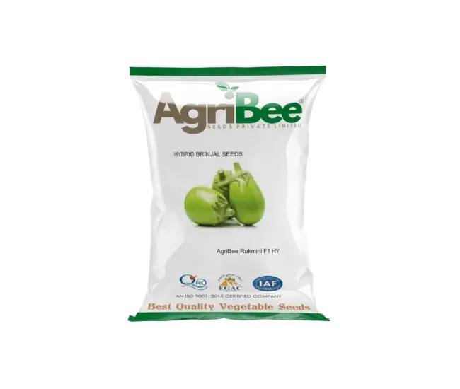 Brinjal Seeds AgriBee Rukmini F1 HY