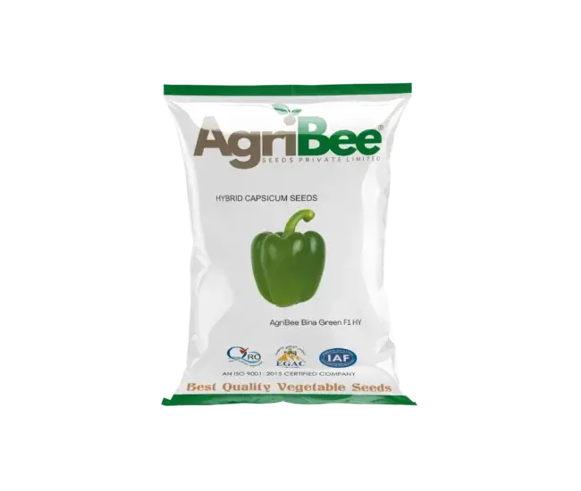 Capsicum Seeds AgriBee Bina Green F1 HY