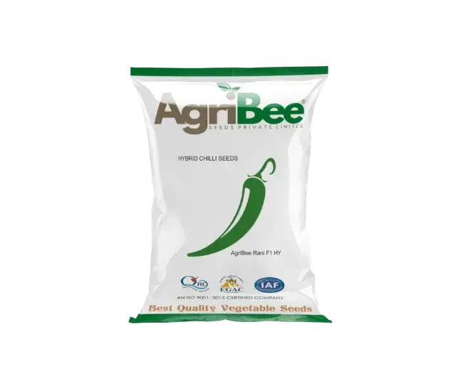 Chilli Seeds AgriBee Rani F1 HY