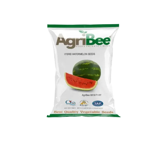 Watermelon Seeds AgriBee 9919 F1 HY 10 AgriBee 9919 F1 HY
