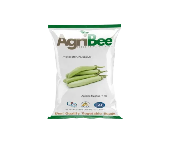 Brinjal Seeds AgriBee Meghna F1 HY