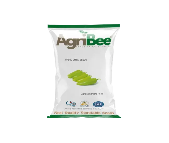 Chilli Seeds AgriBee Kareena 99 F1 HY
