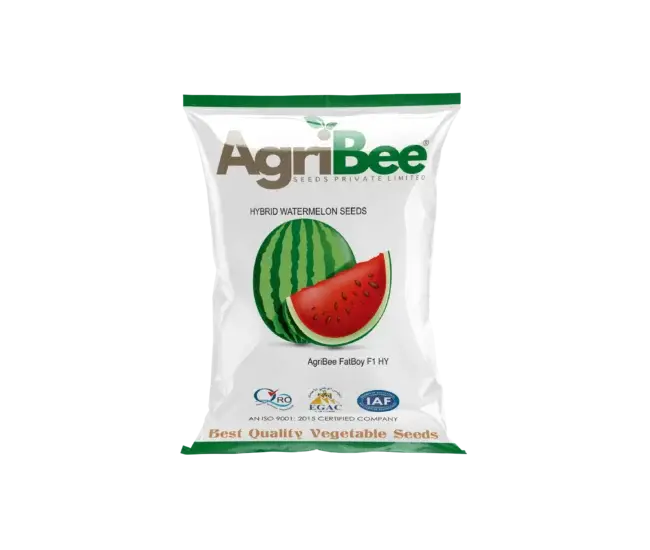 Watermelon Seeds AgriBee FatBoy F1 HY 10 AgriBee FatBoy F1 HY