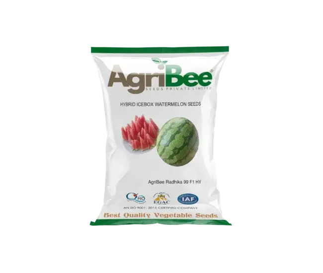 IceBox Seeds AgriBee Radhika F1 HY 6 AgriBee Radhika F1 HY