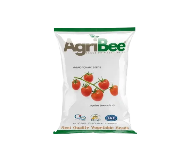 Tomato Seeds AgriBee Shweta F1 HY 6 AgriBee Shweta F1 HY