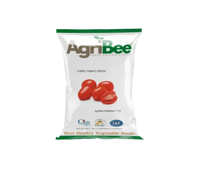 Tomato Seeds AgriBee Abhilekha F1 HY 7 AgriBee Abhilekha F1 HY