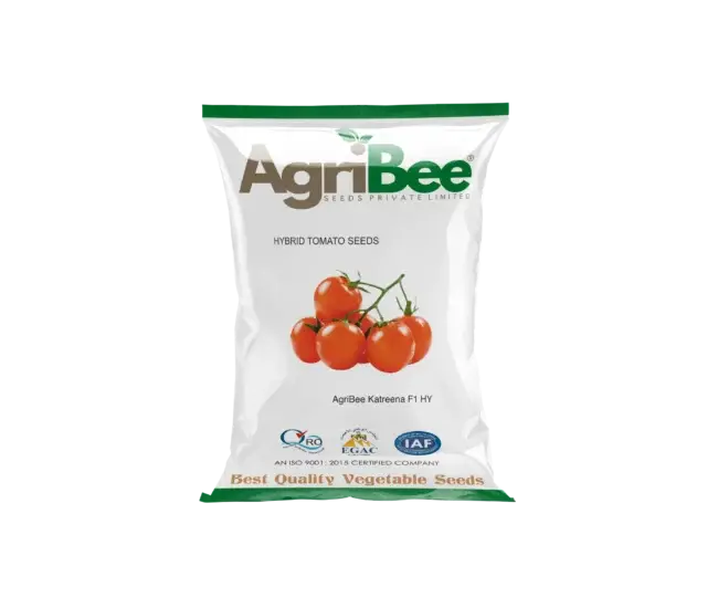 Tomato Seeds AgriBee Katreena F1 HY 8 AgriBee Katreena F1 HY