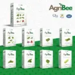Premium Vegetable Seeds in India