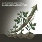 blackgram seeds