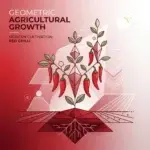 chilli seeds